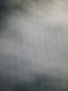 zaneporter46 online show from May 24, 1:39 pm