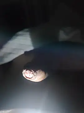 droguitin23 online show from February 15, 2:16 am