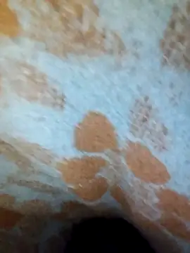 ParousFlow online show from April 15, 10:10 pm