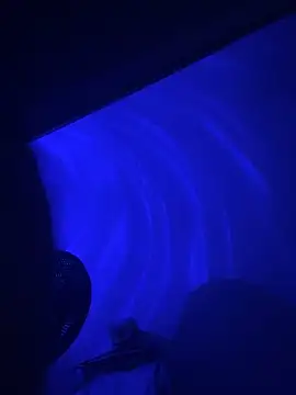 imstevenfox online show from November 23, 4:56 am