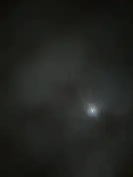 ALANNFERRER online show from July 7, 10:19 am