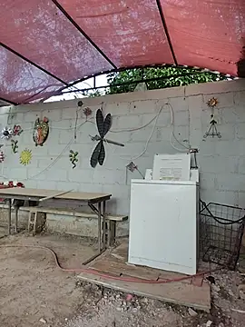 andreustoreto online show from August 1, 1:21 pm
