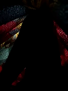 play boy-raj007 online show from February 2, 7:11 pm