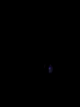 00x0x00 online show from March 29, 7:03 pm