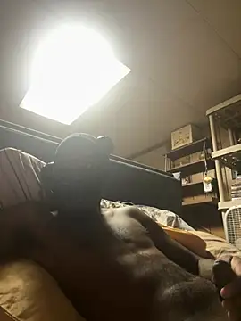 ProveYourLoyalty2 online show from March 14, 7:59 am