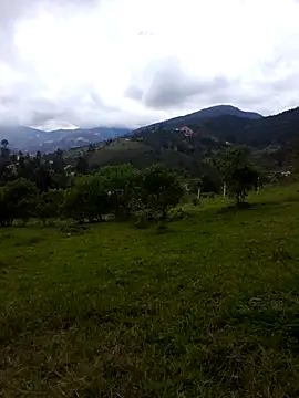 Graboumbom online show from February 17, 4:50 pm