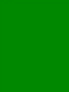 HungPolishLad online show from May 30, 5:02 pm
