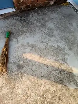 Desii rockstarr online show from March 12, 1:35 am