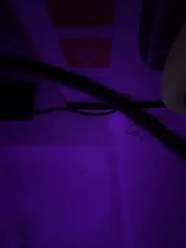 st boyss online show from August 8, 6:59 pm
