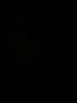 hook9sex online show from June 11, 4:54 am