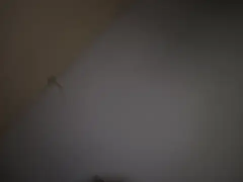 cockinthedark online show from August 1, 4:11 am
