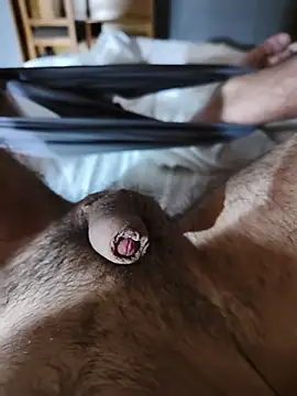 tesudo666 online show from August 7, 1:34 am