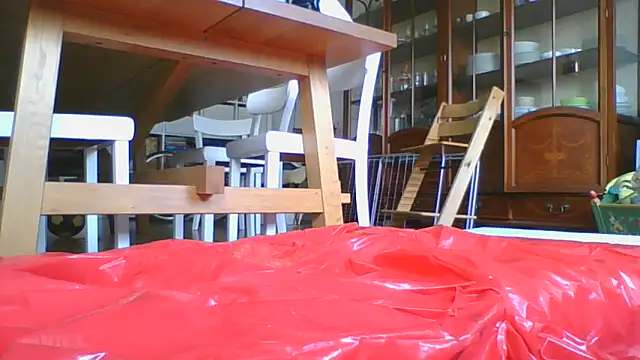 fetishkraut online show from October 17, 9:13 am