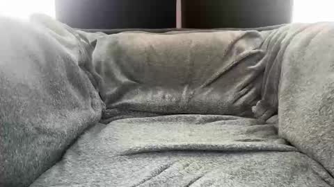 2hairrypigs online show from January 10, 6:45 pm