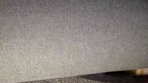 30nick online show from March 7, 9:18 am