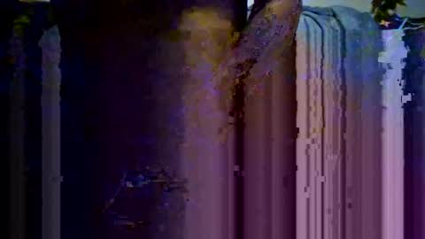 5an3 online show from April 28, 2:06 am