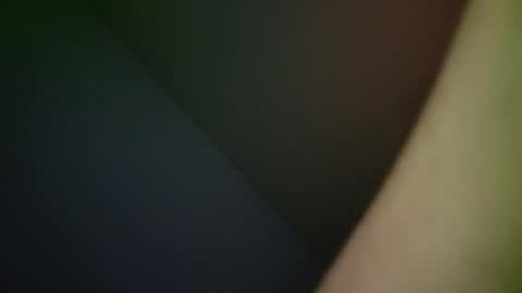 3AYDOESIT online show from February 20, 10:06 am