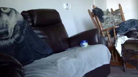 66bear online show from December 20, 2:57 pm