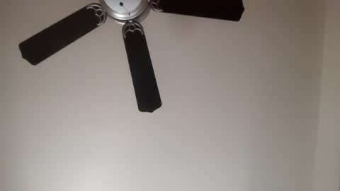 82ragnarok online show from January 31, 4:06 pm