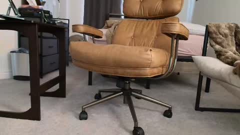 _black_lotus online show from November 29, 1:46 pm