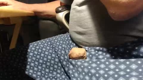 _jimmini online show from December 4, 6:31 am