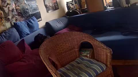 Sven online show from October 14, 11:17 am