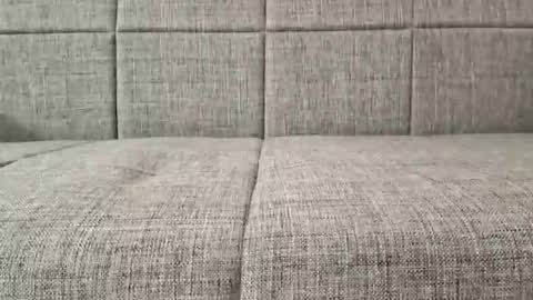 XXL online show from February 20, 1:24 am