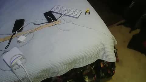 aCACiAs2022 online show from March 16, 2:18 am