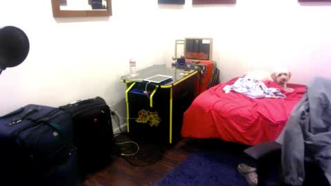 adick_ting online show from November 10, 3:33 am