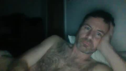 adz170578 online show from February 16, 4:53 am