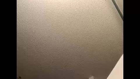 humpty online show from January 12, 5:24 am