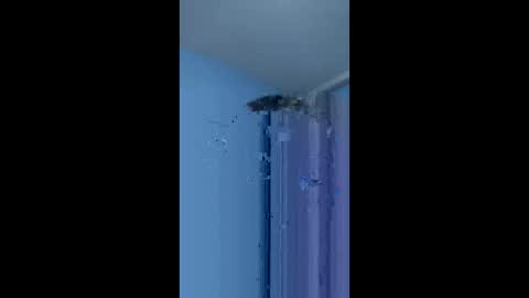 Alex online show from April 8, 6:38 pm