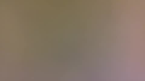 alexfan141 online show from October 31, 4:43 pm