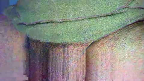 Alex online show from November 20, 10:41 pm