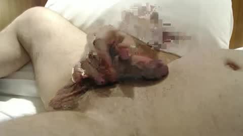 Frank online show from January 29, 10:22 pm