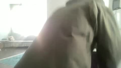 AlphAndre online show from December 20, 9:11 am