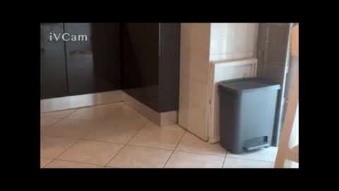 andregio0087 online show from February 6, 9:28 am