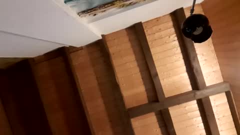 andris40 online show from December 15, 2:58 pm