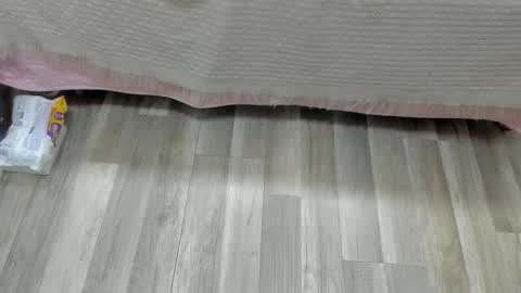 Angel online show from November 4, 4:02 am