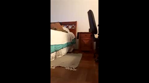 antonino85 online show from February 20, 9:49 pm