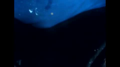 antxon12 online show from March 8, 11:31 pm