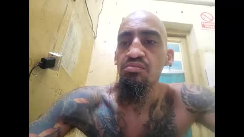 apapal12 online show from January 14, 5:56 am