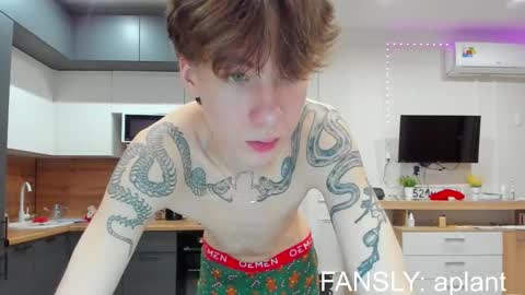 aplant_ online show from January 13, 2:05 am