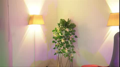 insta appolo master online show from November 26, 4:04 am