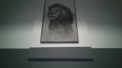 arthure944491 online show from December 13, 7:53 pm