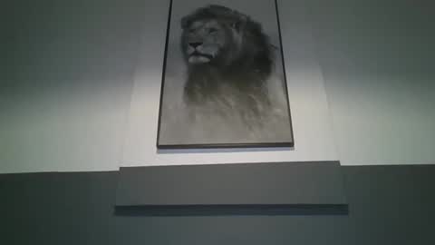 arthure944491 online show from November 16, 7:16 pm