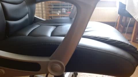 Ashwin online show from November 9, 1:37 pm