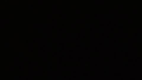 Alex online show from February 3, 5:16 am