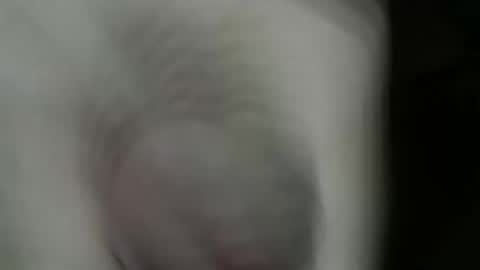 babaceta online show from November 4, 12:01 am