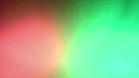 Mexican livin Off the Wall online show from January 10, 11:14 am